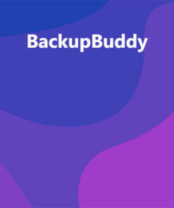 BackupBuddy