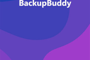 BackupBuddy