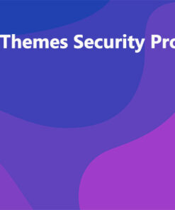 iThemes Security Pro