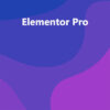Elementor Pro