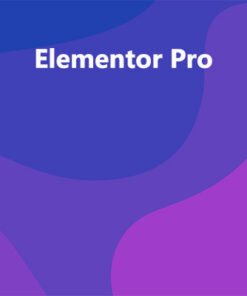 Elementor Pro