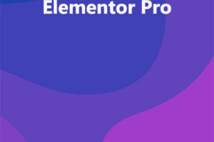 Elementor Pro