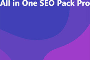 All in One SEO Pack Pro