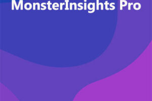 MonsterInsights Pro