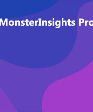 MonsterInsights Pro