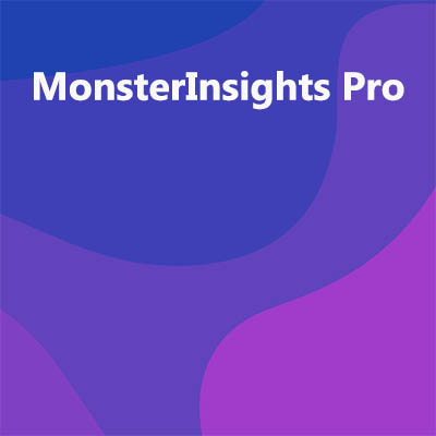 MonsterInsights Pro