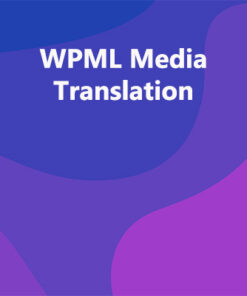 WPML Media Translation