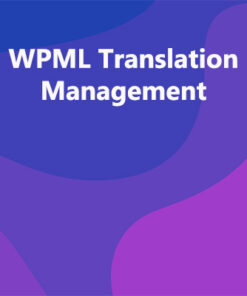 WPML Translation Management