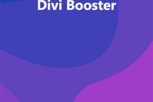 Divi Booster