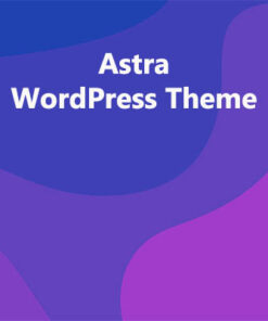 Astra WordPress Theme
