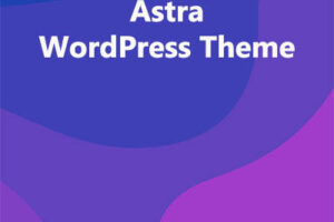Astra WordPress Theme
