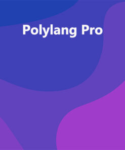 Polylang Pro