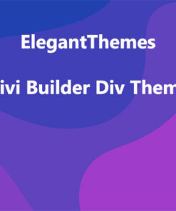 ElegantThemes Divi Builder Div Theme