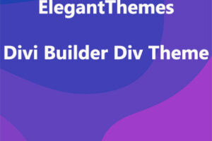 ElegantThemes Divi Builder Div Theme