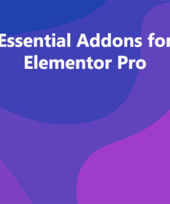 Essential Addons for Elementor Pro