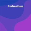 Perfmatters WordPress Plugin