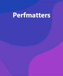 Perfmatters WordPress Plugin