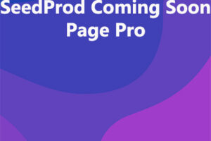SeedProd Coming Soon Page Pro