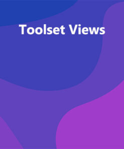Toolset Views