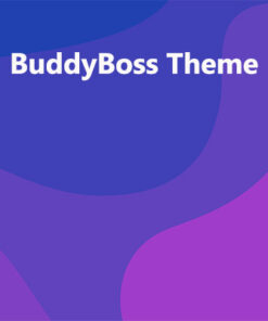 BuddyBoss Theme