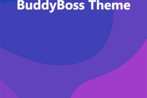 BuddyBoss Theme