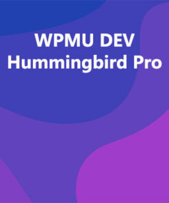 WPMU DEV Hummingbird Pro