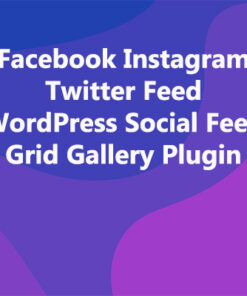 Facebook Instagram Twitter Feed WordPress Social Feed Grid Gallery Plugin