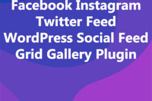 Facebook Instagram Twitter Feed WordPress Social Feed Grid Gallery Plugin