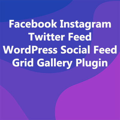 Facebook Instagram Twitter Feed WordPress Social Feed Grid Gallery Plugin