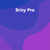 Brizy Pro