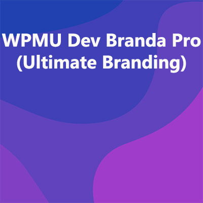 WPMU Dev Branda Pro (Ultimate Branding)