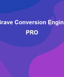 Brave Conversion Engine PRO