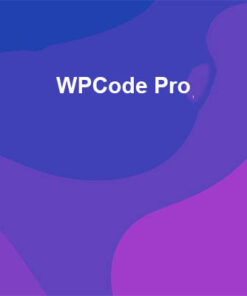 WPCode Pro