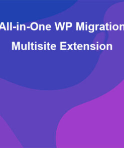 All-in-One WP Migration Multisite Extension